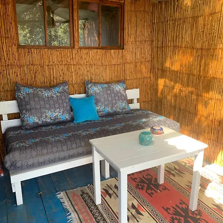 Holiday park Turan Hill Lounge 4*