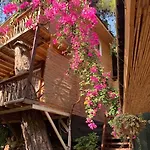Turan Hill Lounge Holiday park Faralya