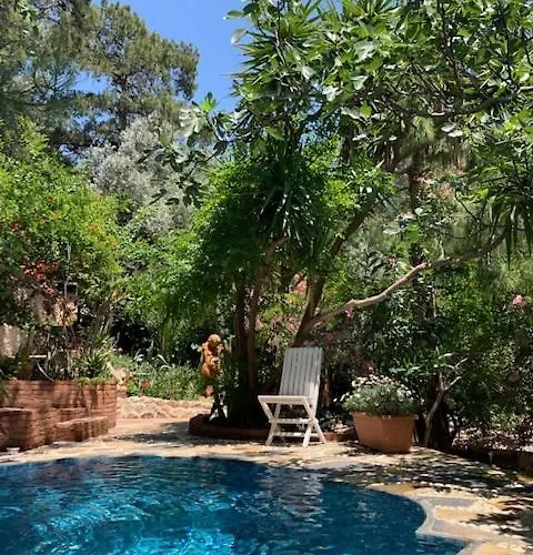 Turan Hill Lounge 4* Faralya