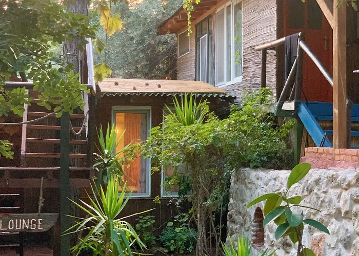 Turan Hill Lounge Faralya