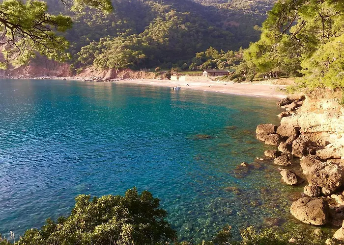 ホリデーパーク Turan Hill Lounge 4*