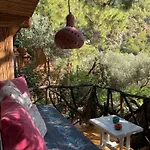 Turan Hill Lounge בית נופש פאראליה