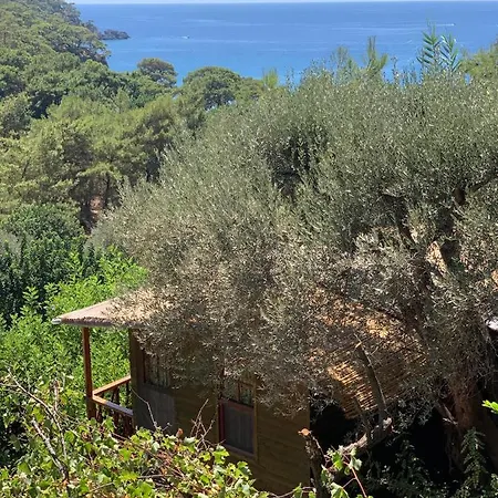 Turan Hill Lounge Πάρκο διακοπών