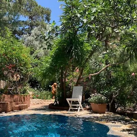 Turan Hill Lounge 4* Faralya