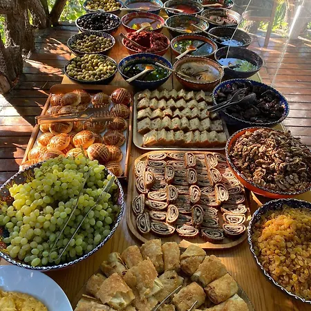 Turan Hill Lounge Feriepark Faralya