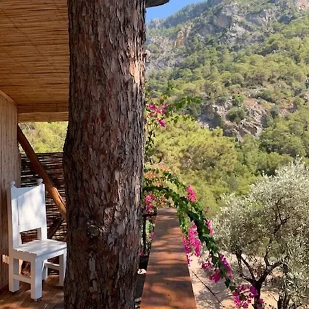 База отдыха Turan Hill Lounge 4*