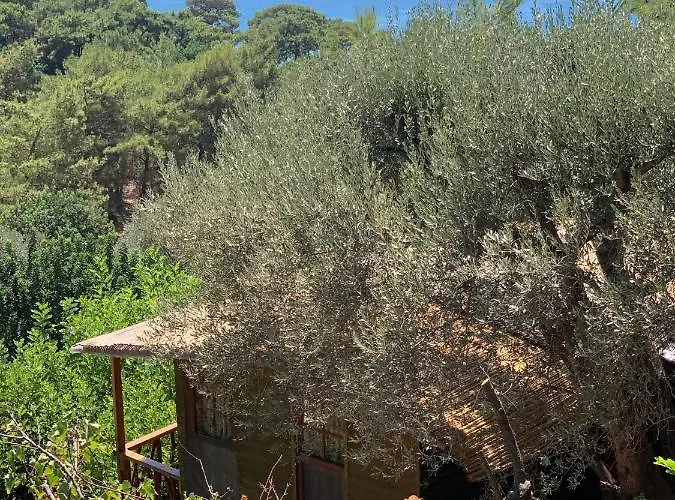 Turan Hill Lounge פארק נופש