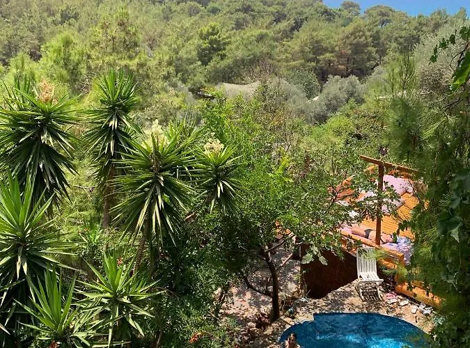 Üdülőpark Turan Hill Lounge