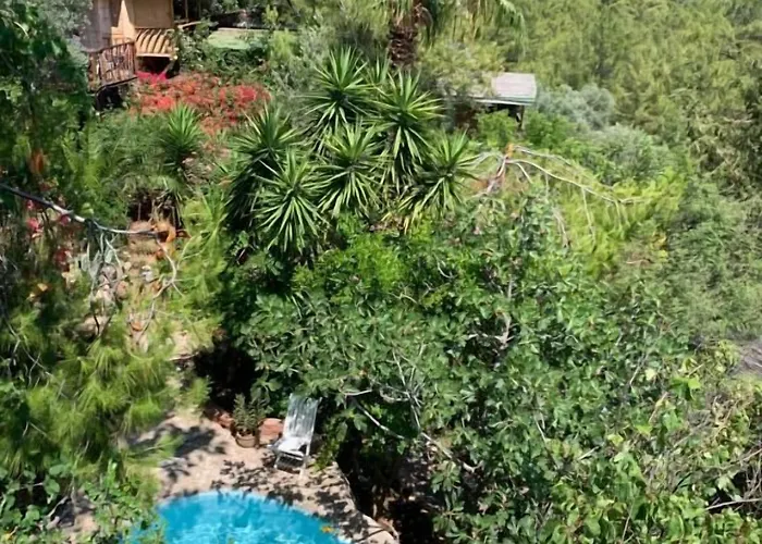 Üdülőpark Turan Hill Lounge