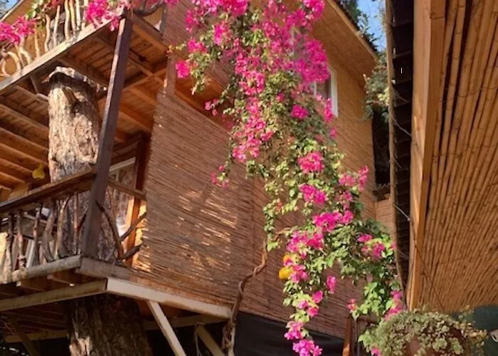 Turan Hill Lounge Üdülőpark Faralya