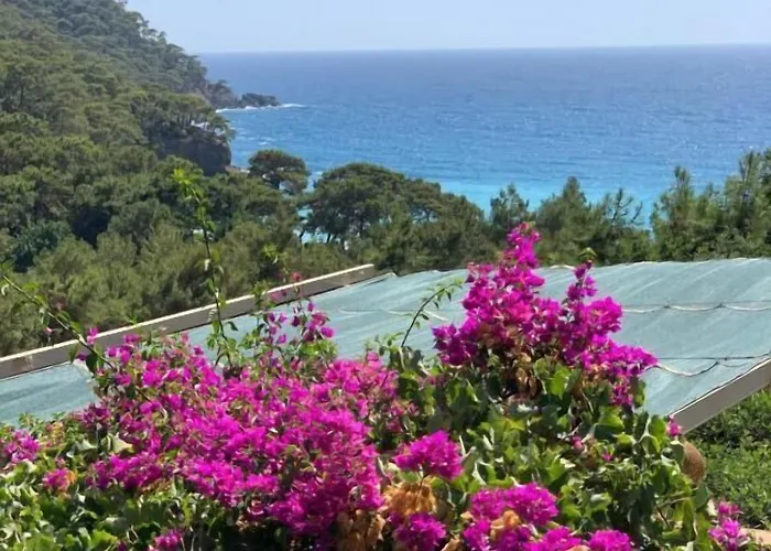 Üdülőpark Turan Hill Lounge